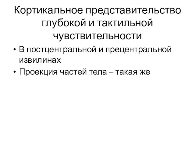 Кортикальное представительство глубокой и тактильной чувствительности В постцентральной и прецентральной