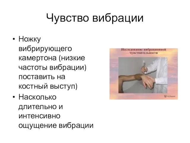 Чувство вибрации Ножку вибрирующего камертона (низкие частоты вибрации) поставить на