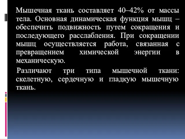 Мышечная ткань составляет 40–42% от массы тела. Основная динамическая функция