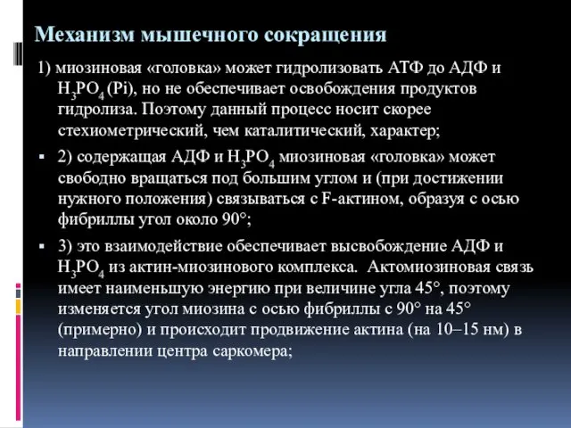 Механизм мышечного сокращения 1) миозиновая «головка» может гидролизовать АТФ до АДФ и Н3РО4