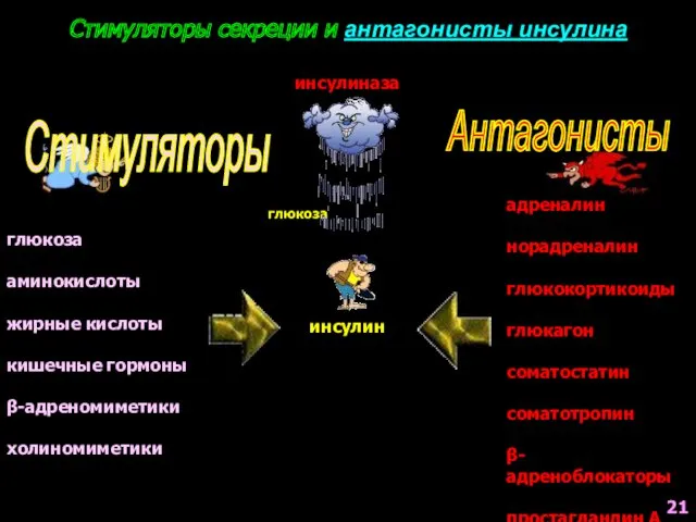 Стимуляторы секреции и антагонисты инсулина инсулин глюкоза глюкоза аминокислоты жирные