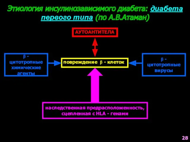 β - цитотропные химические агенты Этиология инсулинозависимого диабета: диабета первого