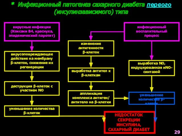 * Инфекционный патогенез сахарного диабета первого (инсулинзависимого) типа вирусные инфекции