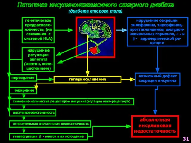 Патогенез инсулинонезависимого сахарного диабета (диабета второго типа) генетическая предрасполо- женность,