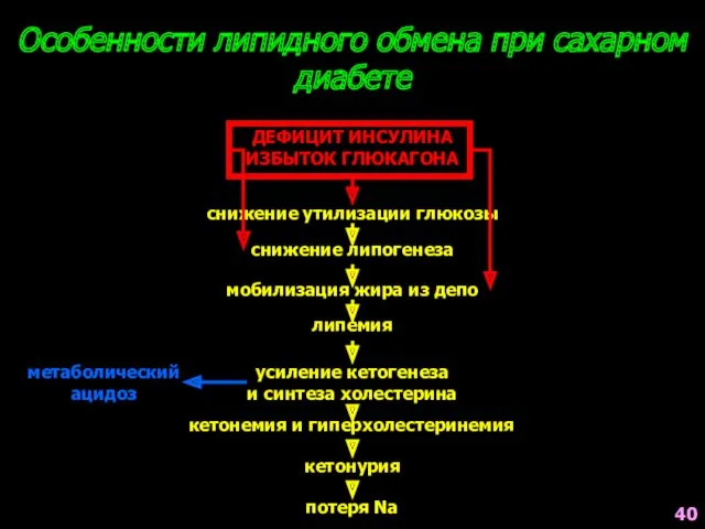 Особенности липидного обмена при сахарном диабете ДЕФИЦИТ ИНСУЛИНА ИЗБЫТОК ГЛЮКАГОНА