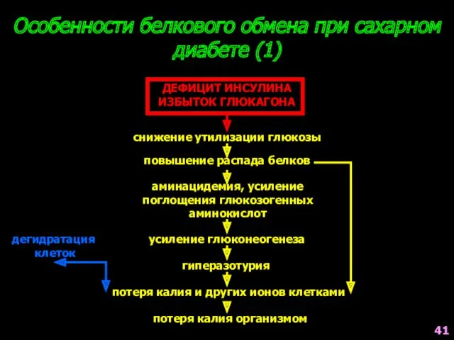 Особенности белкового обмена при сахарном диабете (1) ДЕФИЦИТ ИНСУЛИНА ИЗБЫТОК