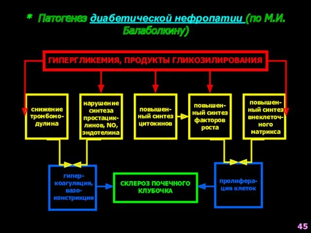 * Патогенез диабетической нефропатии (по М.И.Балаболкину) ГИПЕРГЛИКЕМИЯ, ПРОДУКТЫ ГЛИКОЗИЛИРОВАНИЯ снижение