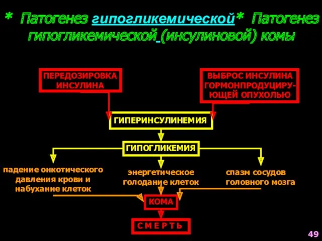 * Патогенез гипогликемической* Патогенез гипогликемической (инсулиновой) комы ПЕРЕДОЗИРОВКА ИНСУЛИНА ВЫБРОС