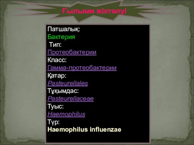 Ғылыми жіктелуі Патшалық: Бактерия Тип: Протеобактерии Класс: Гамма-протеобактерии Қатар: Pasteurellales