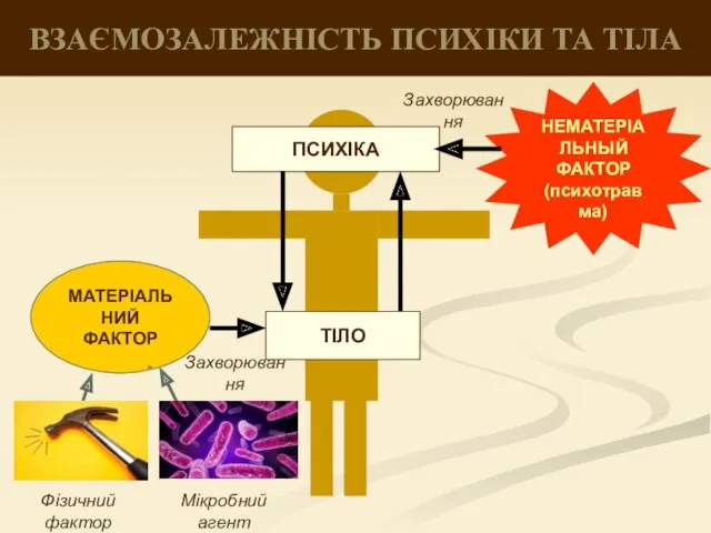 ВЗАЄМОЗАЛЕЖНІСТЬ ПСИХІКИ ТА ТІЛА ТІЛО ПСИХІКА НЕМАТЕРІАЛЬНЫЙ ФАКТОР (психотравма) МАТЕРІАЛЬНИЙ