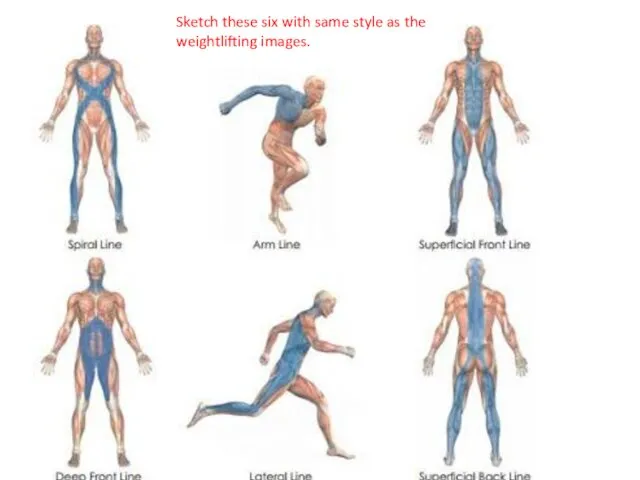 Sketch these six with same style as the weightlifting images.