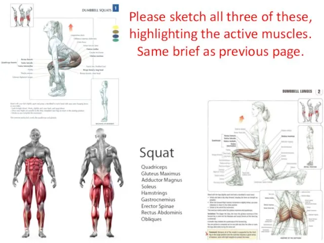 Please sketch all three of these, highlighting the active muscles. Same brief as previous page.