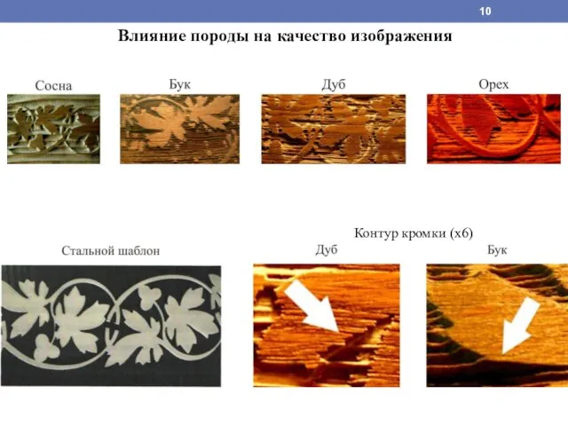 Влияние породы на качество изображения Контур кромки (х6)