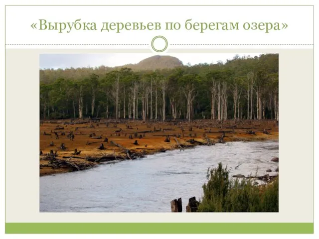 «Вырубка деревьев по берегам озера»