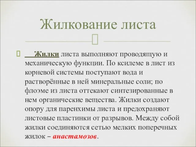 Жилки листа выполняют проводящую и механическую функции. По ксилеме в