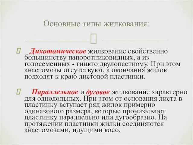 Дихотомическое жилкование свойственно большинству папоротниковидных, а из голосеменных - гинкго