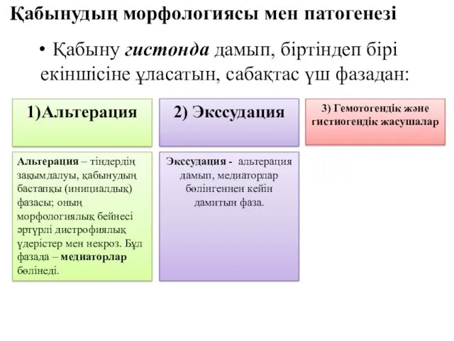 Қабынудың морфологиясы мен патогенезі Қабыну гистонда дамып, біртіндеп бірі екіншісіне