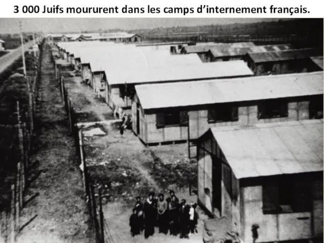 3 000 Juifs moururent dans les camps d’internement français.