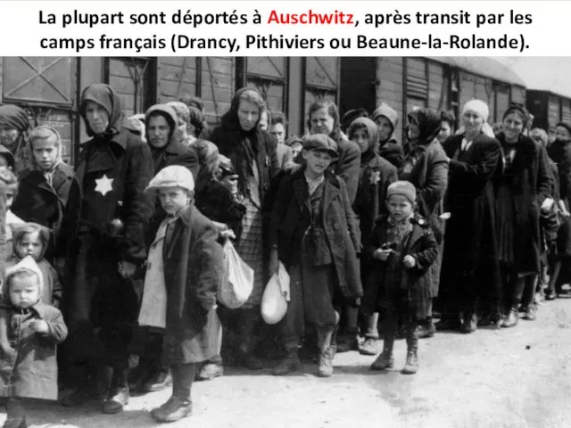La plupart sont déportés à Auschwitz, après transit par les camps français (Drancy, Pithiviers ou Beaune-la-Rolande).