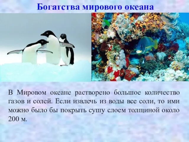 Богатства мирового океана В Мировом океане растворено большое количество газов