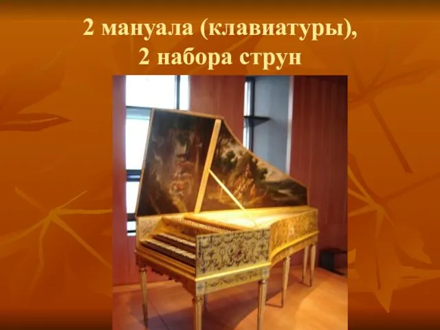 2 мануала (клавиатуры), 2 набора струн