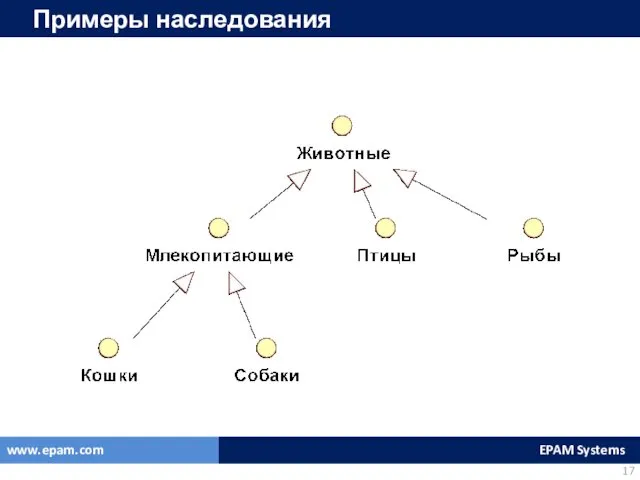 Примеры наследования