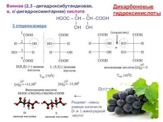 Винная (2,3 –дигидроксибутандиовая, α, α/-дигидроксиянтарная) кислота НООС – СН –
