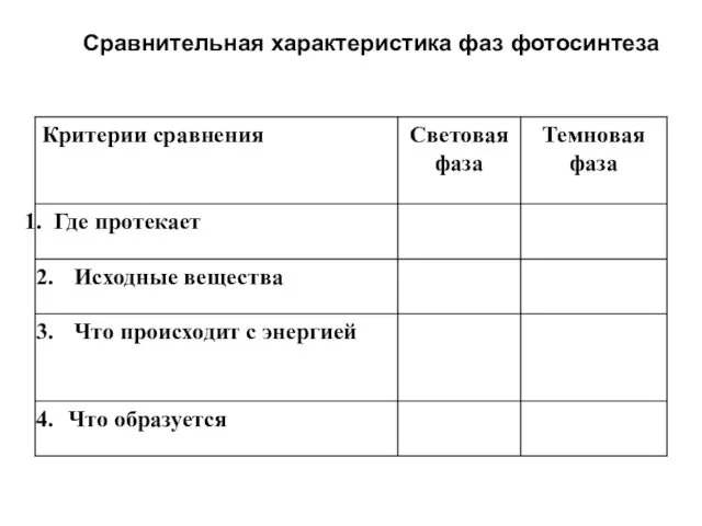 Сравнительная характеристика фаз фотосинтеза