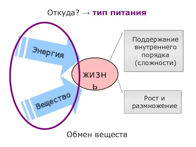 жизнь Энергия Вещество Поддержание внутреннего порядка (сложности) Рост и размножение Откуда? → тип питания Обмен веществ