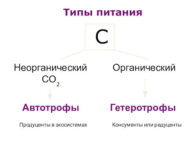 Типы питания Неорганический СО2 Органический Автотрофы Гетеротрофы Продуценты в экосистемах Консументы или редуценты