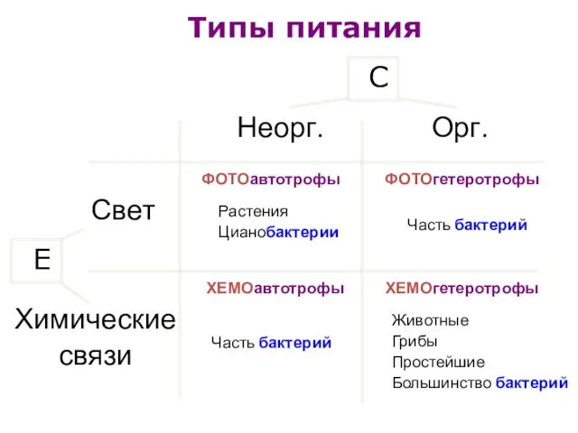 Типы питания ФОТОавтотрофы ФОТОгетеротрофы ХЕМОавтотрофы ХЕМОгетеротрофы Растения Цианобактерии Животные Грибы Простейшие Большинство бактерий