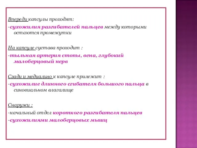 Впереди капсулы проходят: -сухожилия разгибателей пальцев между которыми остаются промежутки