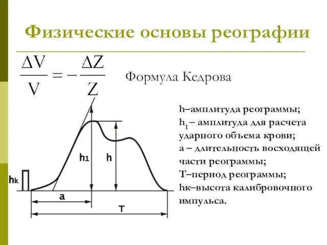 Физические основы реографии Формула Кедрова h–амплитуда реограммы; h1 – амплитуда