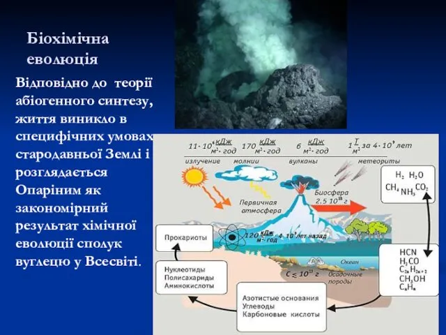 Біохімічна еволюція Відповідно до теорії абіогенного синтезу, життя виникло в