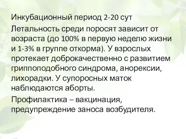 Инкубационный период 2-20 сут Летальность среди поросят зависит от возраста