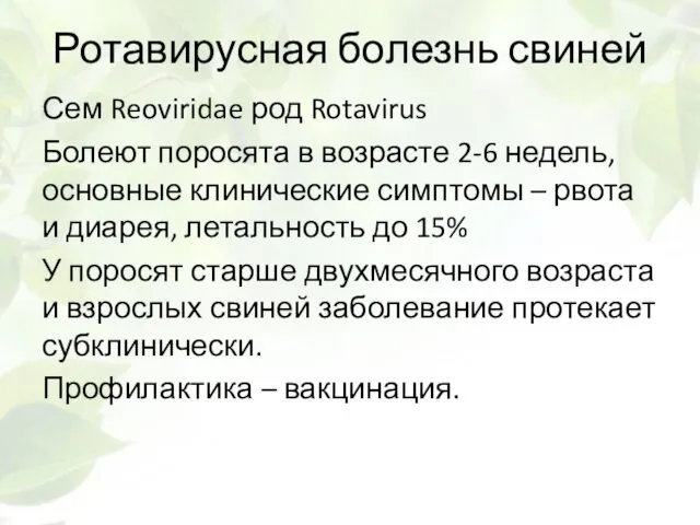 Ротавирусная болезнь свиней Сем Reoviridae род Rotavirus Болеют поросята в