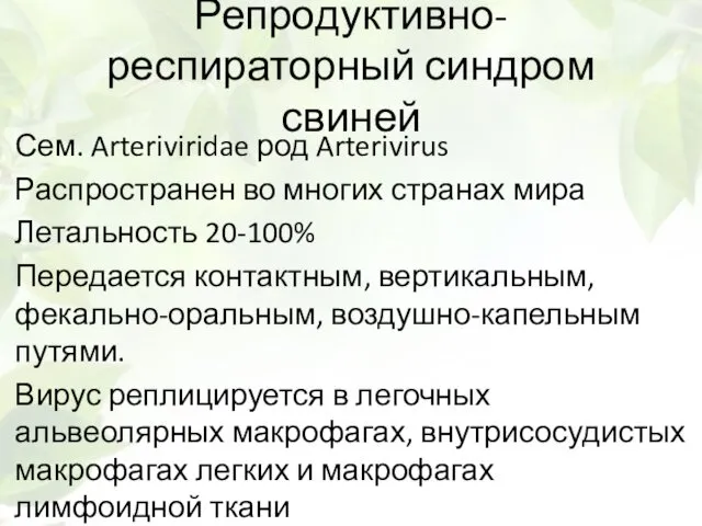 Репродуктивно-респираторный синдром свиней Сем. Arteriviridae род Arterivirus Распространен во многих