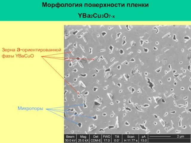 Морфология поверхности пленки YBа2Cu3O7-х Зерна а-ориентированной фазы YBaCuO Микропоры
