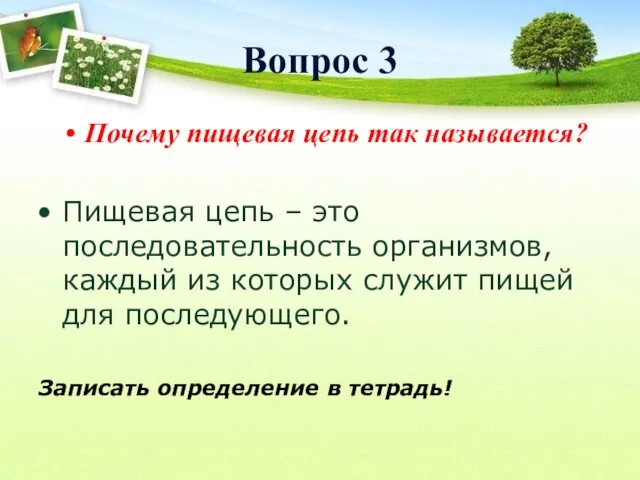 Вопрос 3 Почему пищевая цепь так называется? Пищевая цепь –