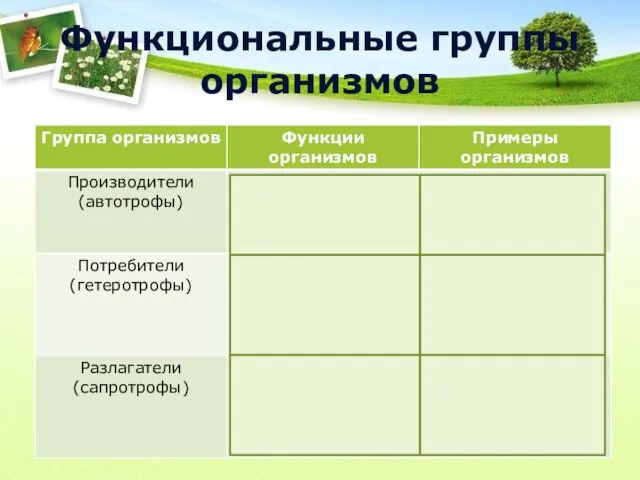 Функциональные группы организмов