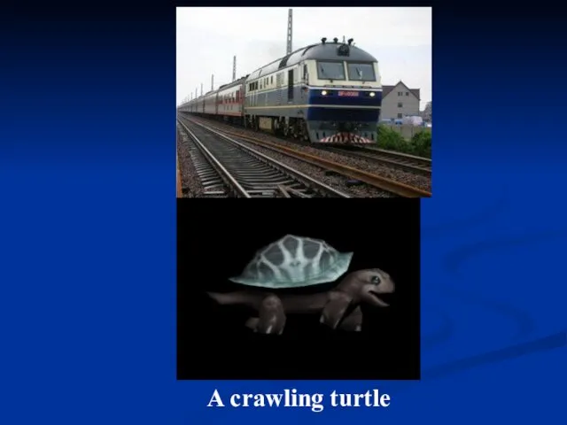 A crawling turtle