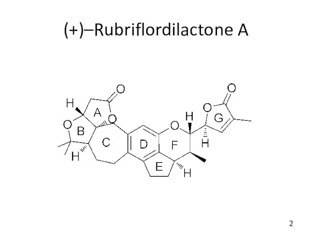 (+)–Rubriflordilactone A