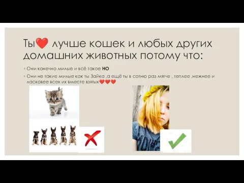 Ты❤️ лучше кошек и любых других домашних животных потому что: