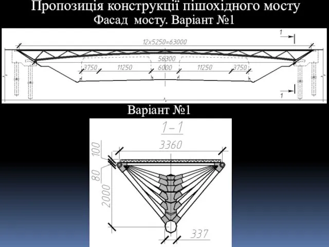 Пропозиція конструкції пішохідного мосту Варіант №1 Фасад мосту. Варіант №1