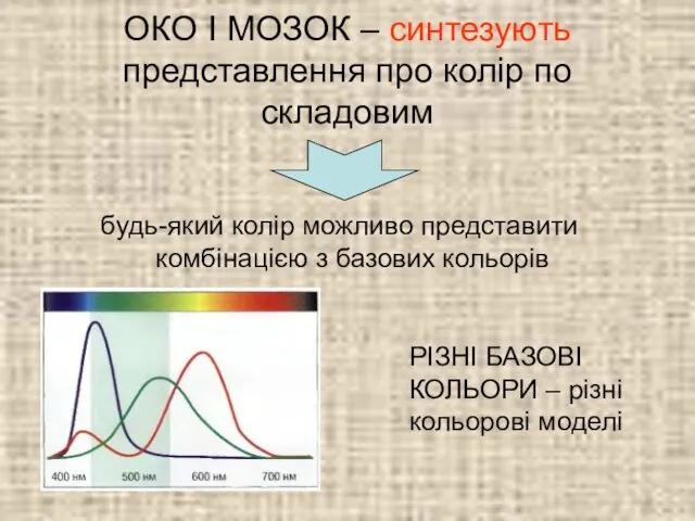 ОКО І МОЗОК – синтезують представлення про колір по складовим