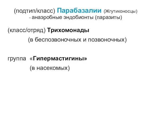 (подтип/класс) Парабазалии (Жгутиконосцы) - анаэробные эндобионты (паразиты) (класс/отряд) Трихомонады (в