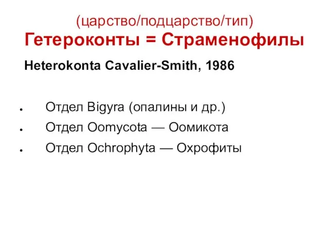 (царство/подцарство/тип) Гетероконты = Страменофилы Heterokonta Cavalier-Smith, 1986 Отдел Bigyra (опалины