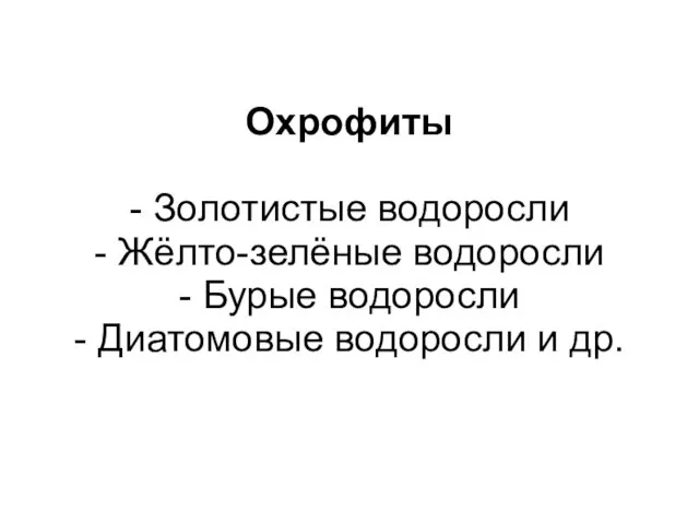 Охрофиты - Золотистые водоросли - Жёлто-зелёные водоросли - Бурые водоросли - Диатомовые водоросли и др.