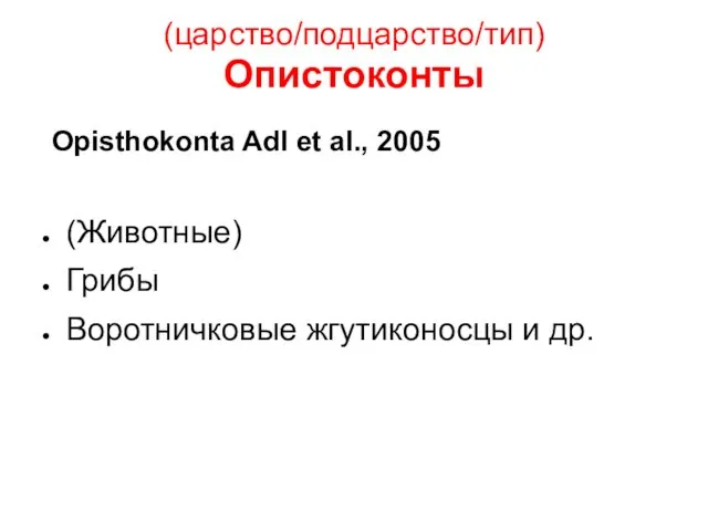 (царство/подцарство/тип) Опистоконты Opisthokonta Adl et al., 2005 (Животные) Грибы Воротничковые жгутиконосцы и др.