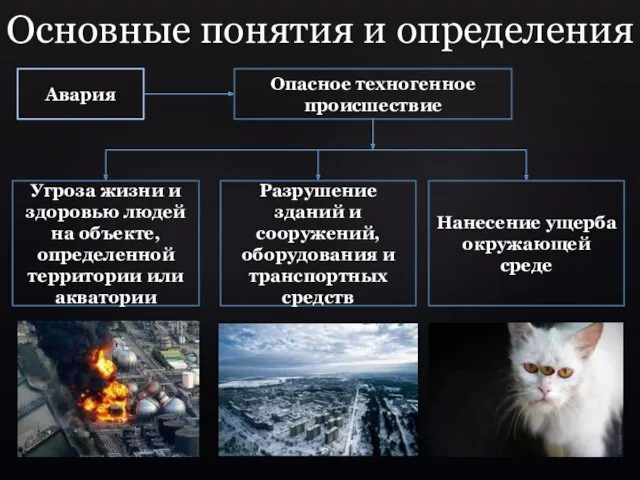 Основные понятия и определения